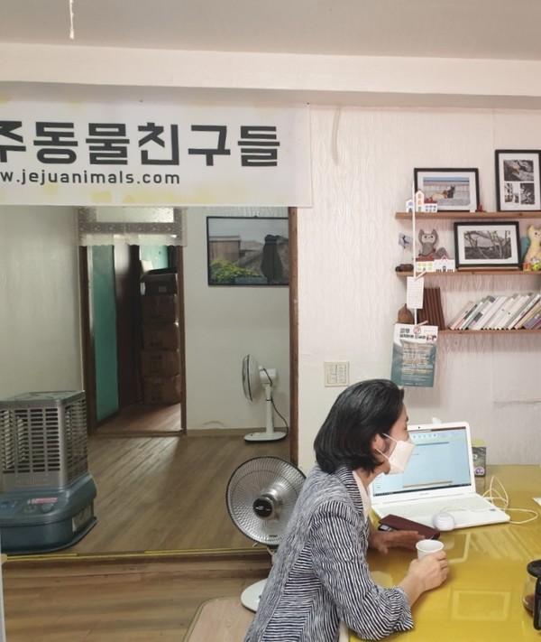인터뷰 중인 제주동물친구들의 김미성 대표