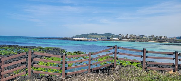 산책 중 찍은 제주 해변의 모습(촬영=홍정민)